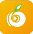 橘子免费汅版直播安卓APP